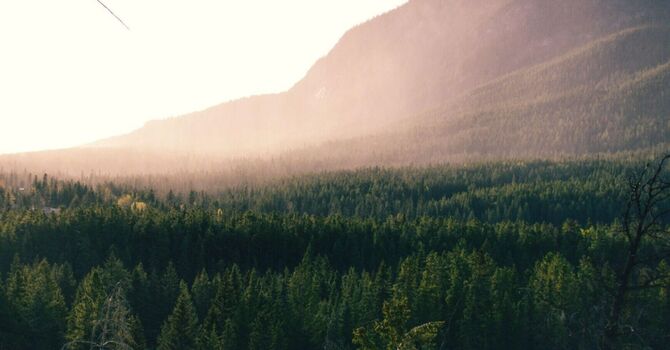 Individual Therapy / Psychotherapy for Individuals
