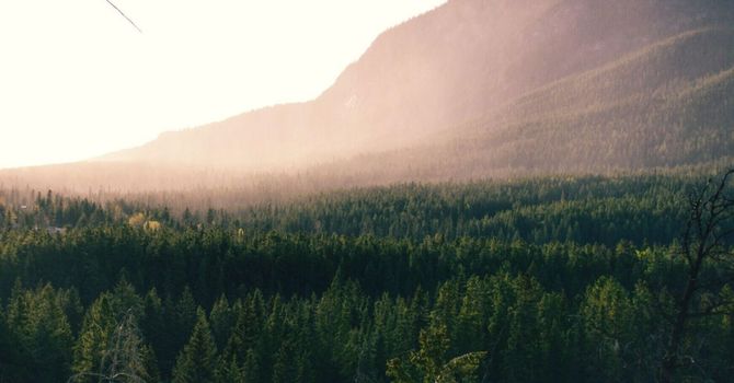 Individual Therapy / Psychotherapy for Individuals