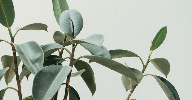 Individual Therapy / Psychotherapy for Individuals