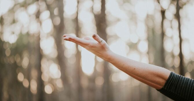 Individual Therapy / Psychotherapy for Individuals