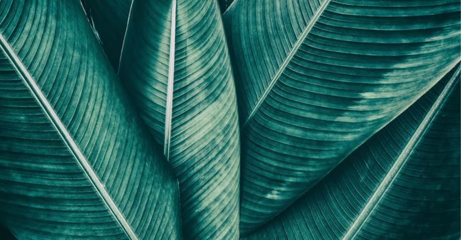Career Clarity for the Worn-Out Professional -PACKAGE (8 sessions)
