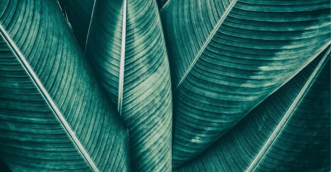 Individual Therapy / Psychotherapy for Individuals