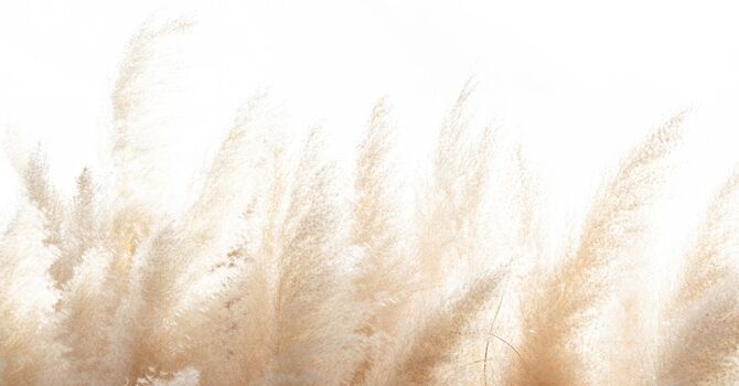 Career Clarity for the Worn-Out Professional -PACKAGE (8 sessions)